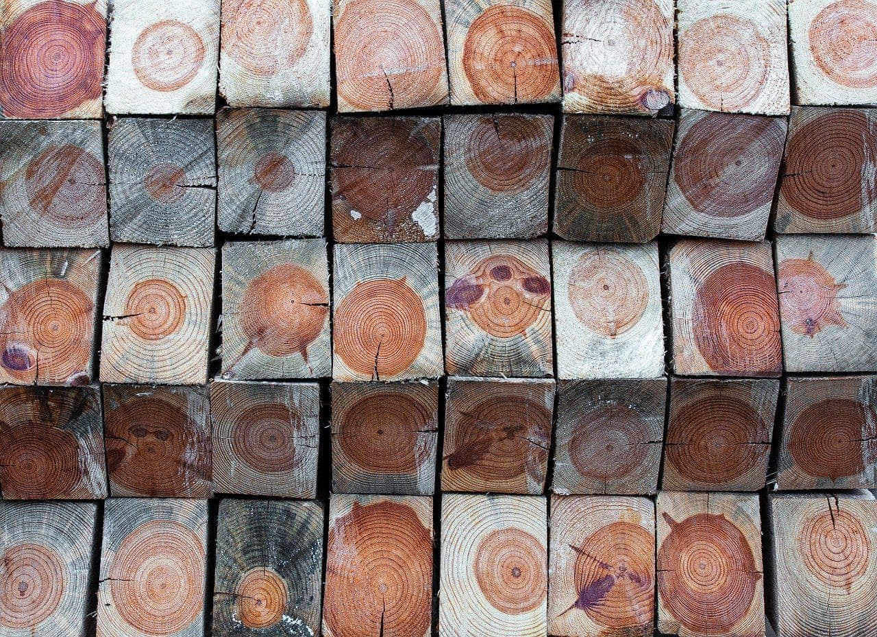 lectureContent.image.alt